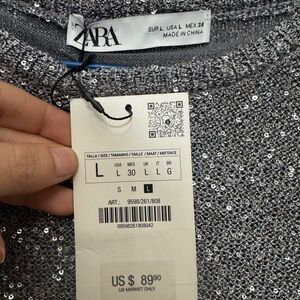 Zara Silver Sequin Top